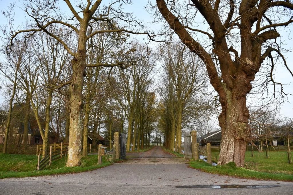 Poortwachters in de polder 8 april 2025